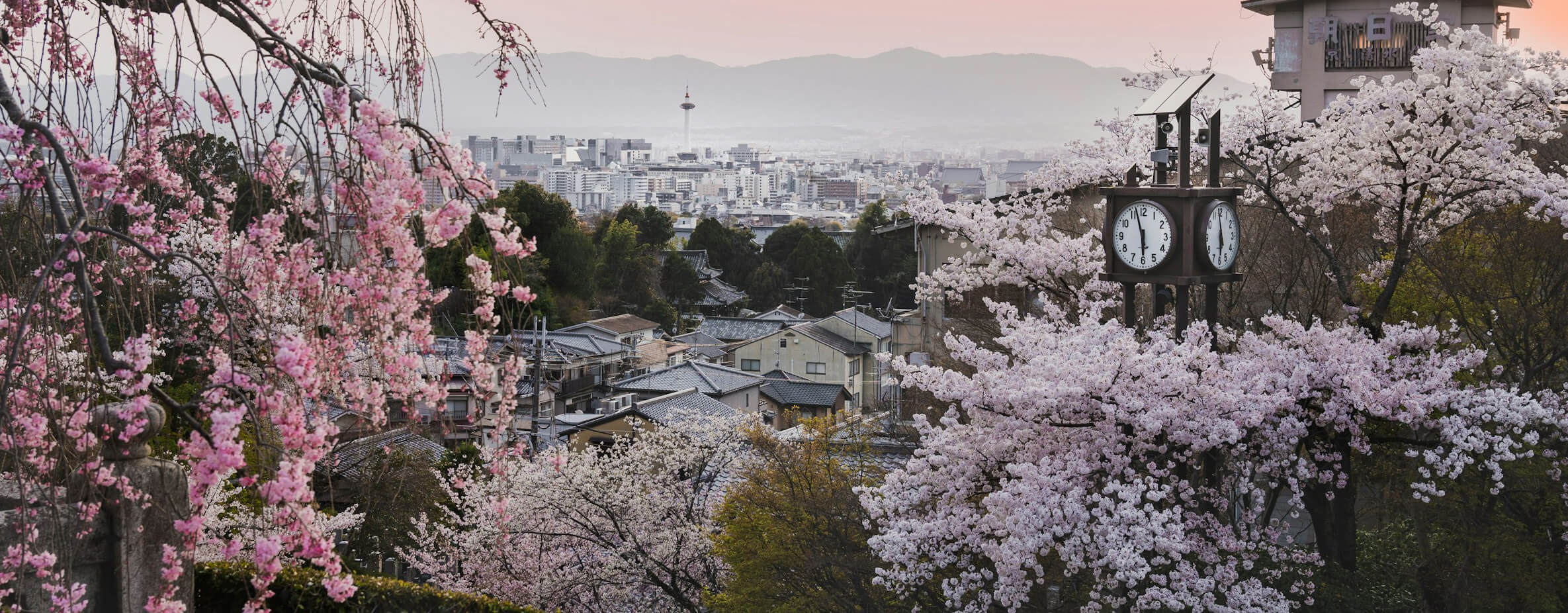 Туры в Японию из Тюмени 2026